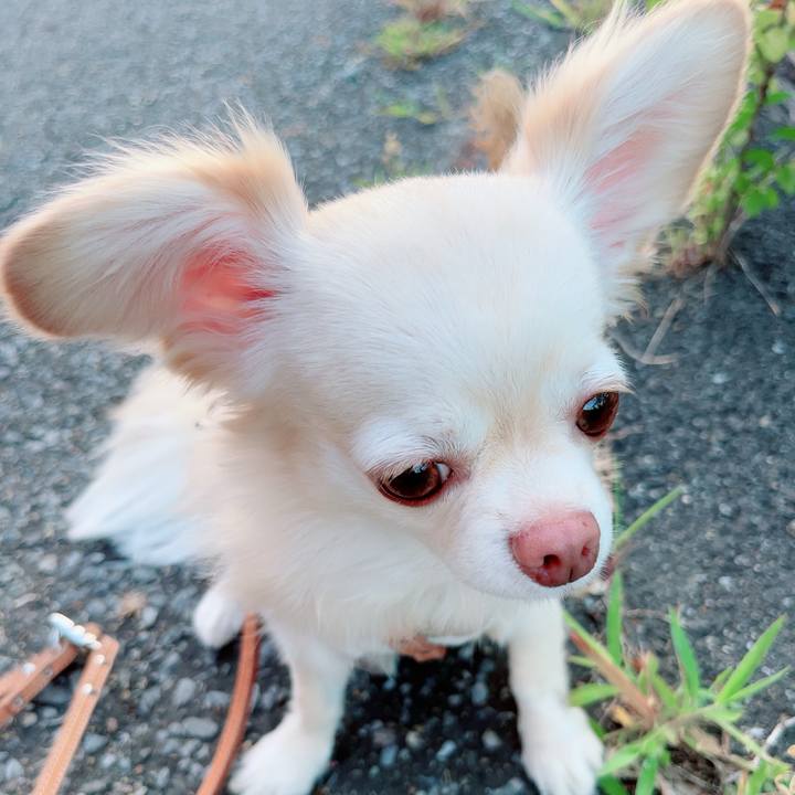 Fb8a38ea 62ef 4aa2 998e e10cdd5263d5 1689937936258