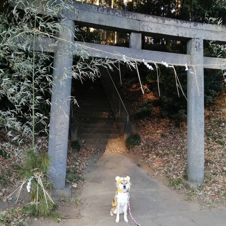 Fb8a6be2 39ea 48f6 9ef6 f6a3b117bcf0 1641042807244