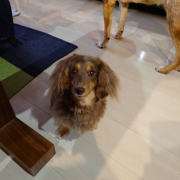 Fb8a9d18 6c8c 42dc b141 8b34fb0dbe32 1692401394181