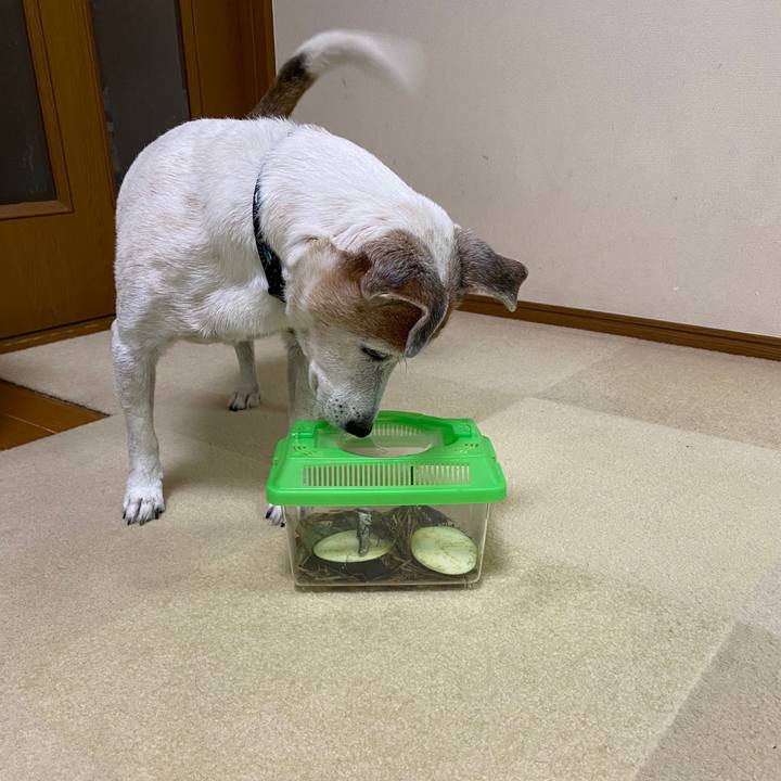 Fb8ad834 e5b6 4f14 b7d5 70642f2398df 1600120167924