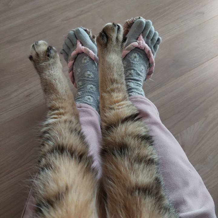 Fb8ad9c6 438d 4761 8389 cdfdea56d9c7 1770446306999