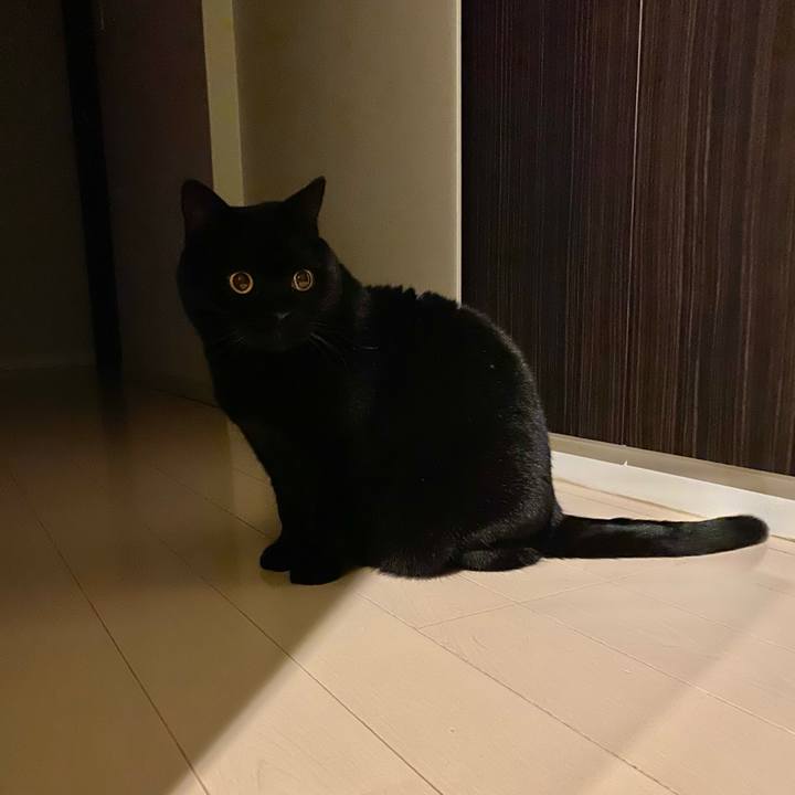 Fb8aefa1 fb2d 4153 935a 964270d49104 1739368166472