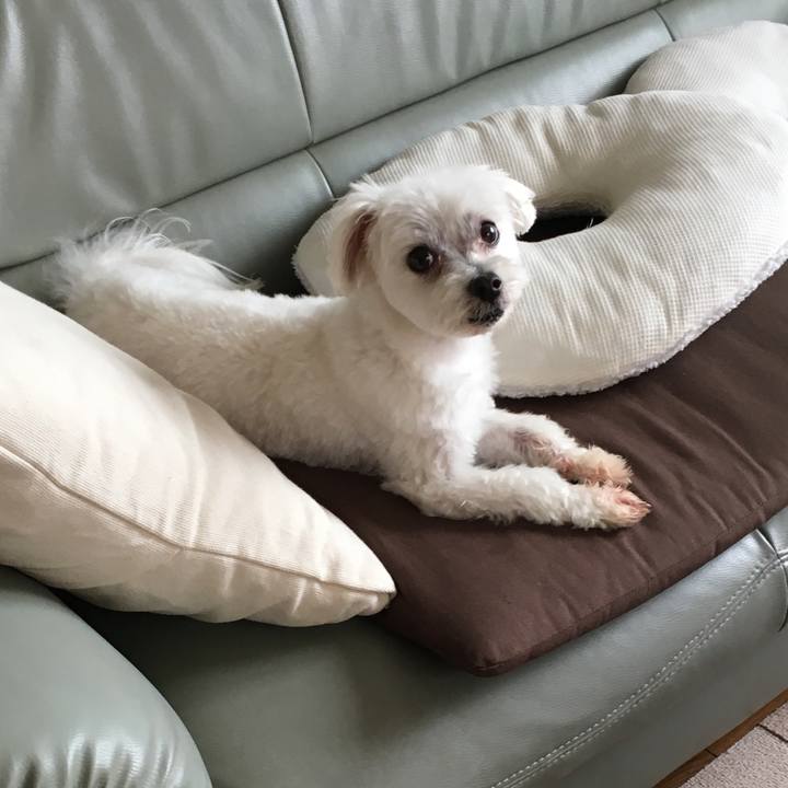 Fb8afe03 a5ef 4d6e 9630 d6fab88089db 1559002908602