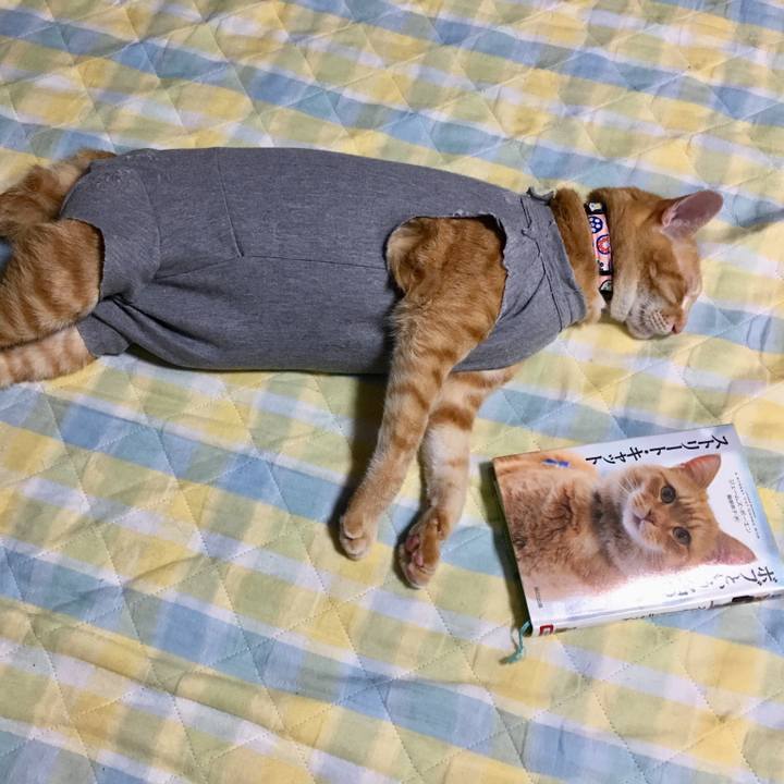 Fb8b7212 9f0b 4d92 8b76 850fb602a79b 1524498662541