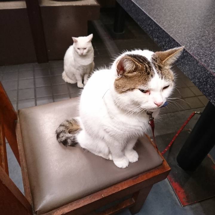 Fb8baba7 e958 4772 9a17 2bf4101df5f9 1571053241556