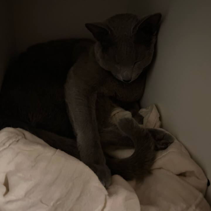 Fb8bb033 69a0 497f bccc 5424560e0ba5 1737120172010