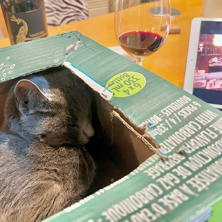 Fb8bbbf1 86ea 42f1 8f80 e1144721dd57 1637839471477