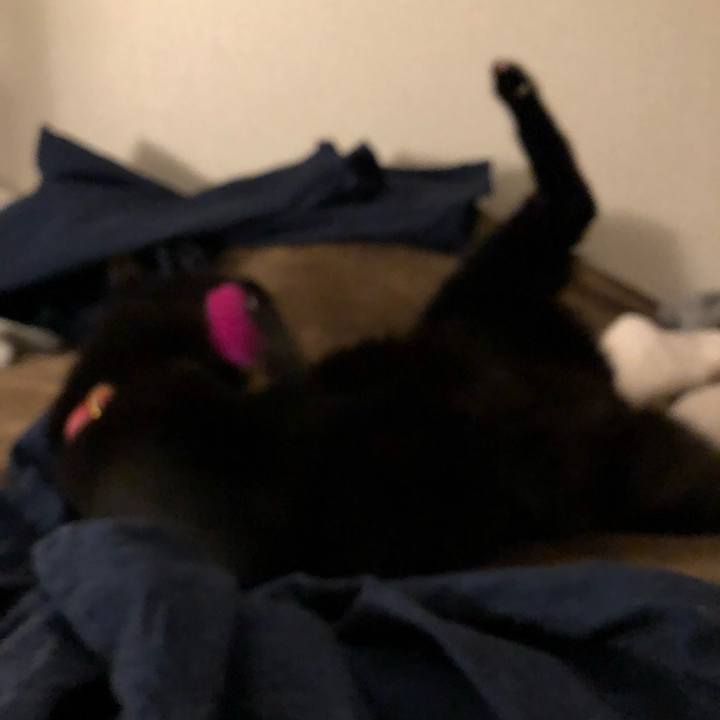 Fb8bd316 d4ee 403b a7cf b459abda8ada 1517580473451