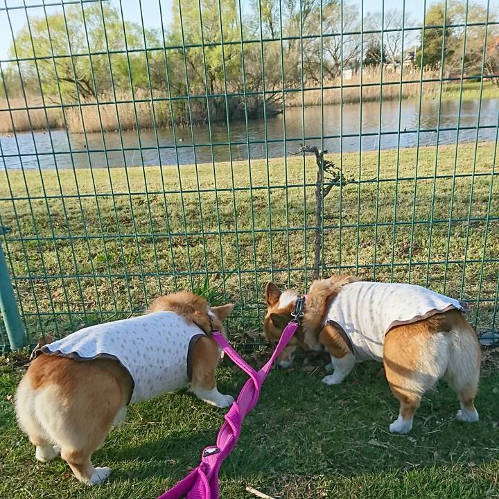 Fb8c04e9 200a 4812 b10e 83cb496e7874 1554817245168