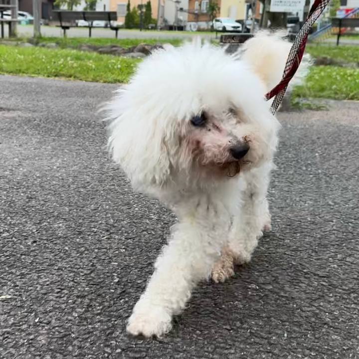 Fb8c0efd ba78 4272 97af ab340b792db2 1781949892470