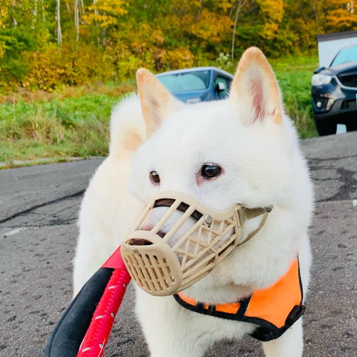 Fb8c26d6 cc75 4de2 9e2d 85a15548c6e7 1666215284119