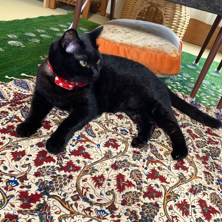 Fb8c2994 9d00 4d95 b327 aa9cf1bb9e85 1594948153186