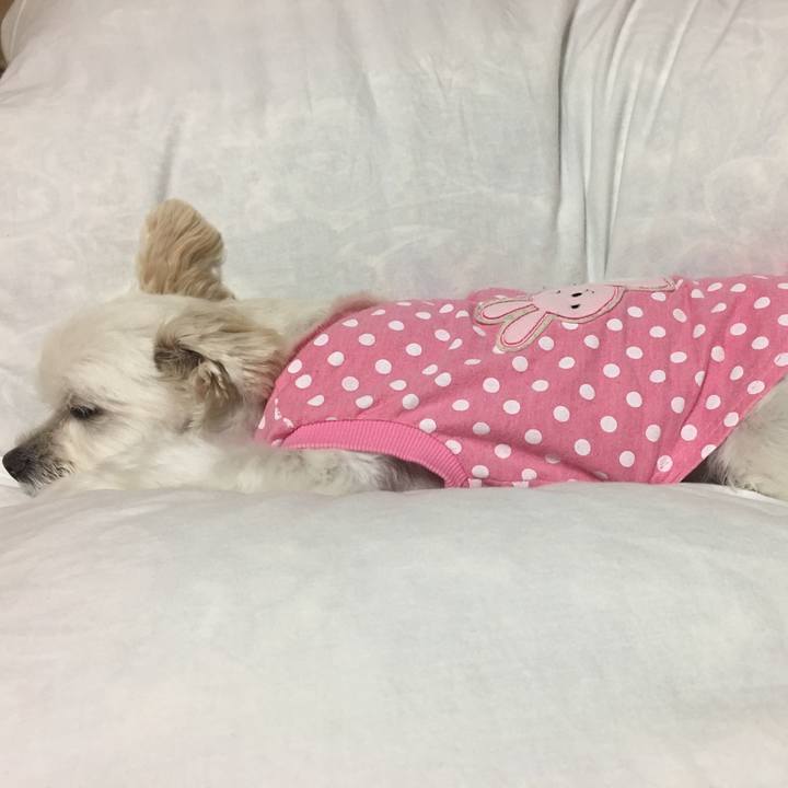 Fb8c2d68 6abb 4a3b bb3a 1902ee9484c6 1508762324916