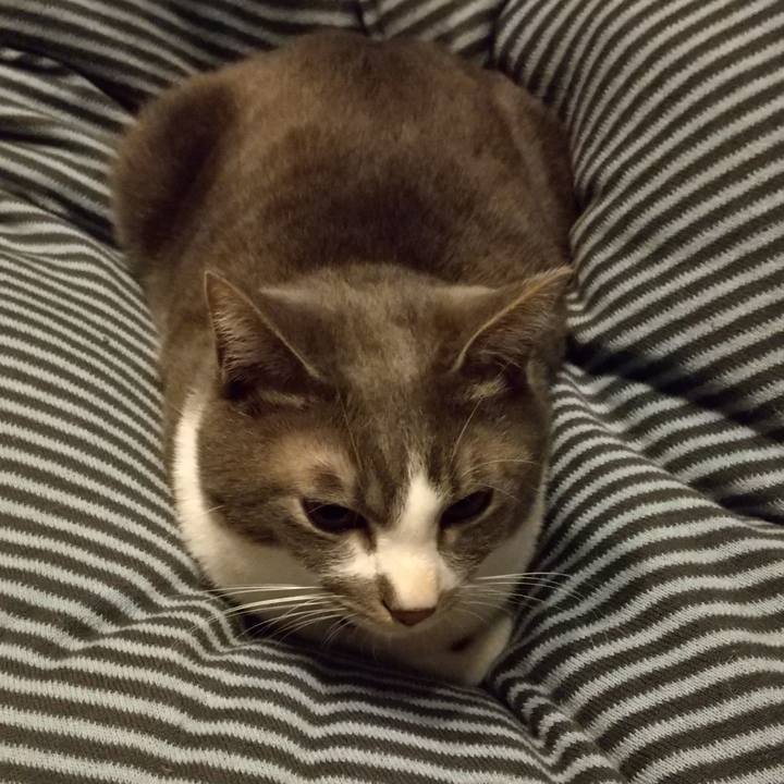 Fb8c57a3 2437 488c abcd 011bc8352179 1613943706511