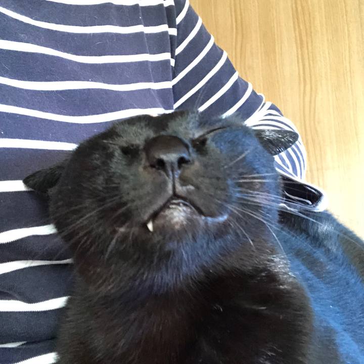 Fb8c58a6 eb1d 4d6f 806e 49aa42378b44 1725141148556