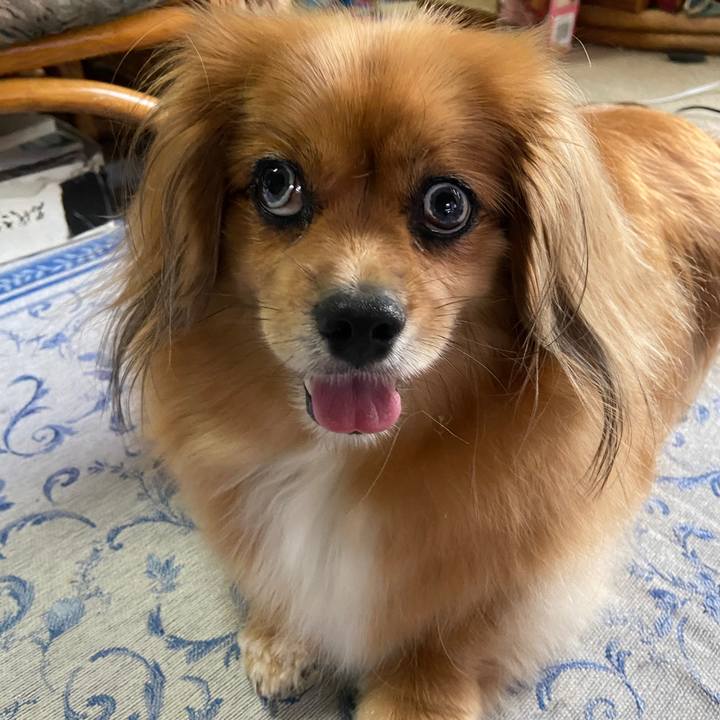 Fb8c5cf3 2c94 4dfd 821b 5a2d06eeef9d 1659563609074