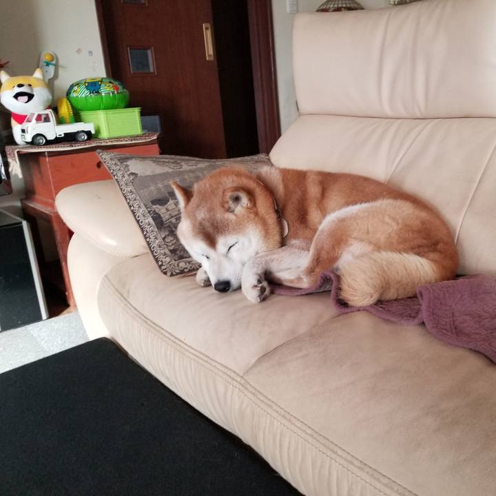 Fb8ca18d 8850 4f06 bd96 285ebec7d264 1735087028034