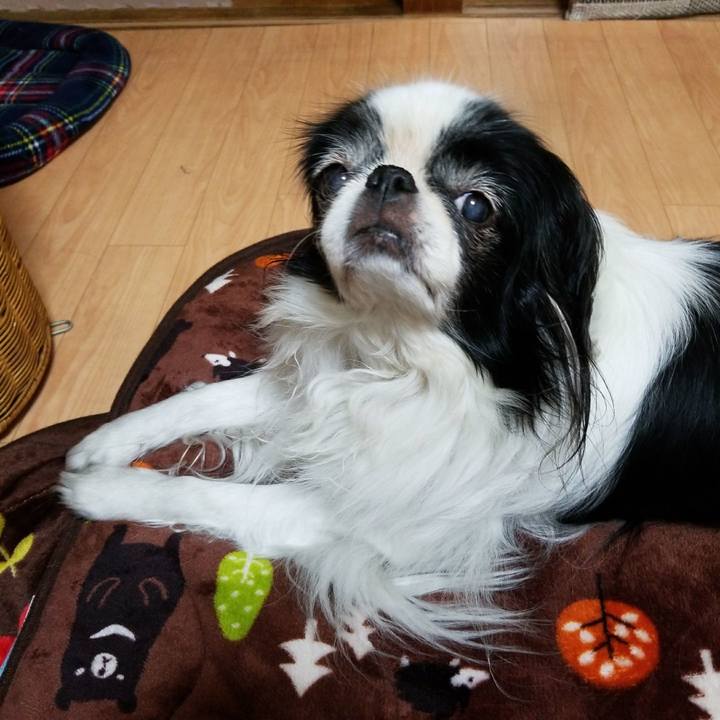 Fb8cae56 4ce2 4823 b601 f8990c1ea88a 1510744431769