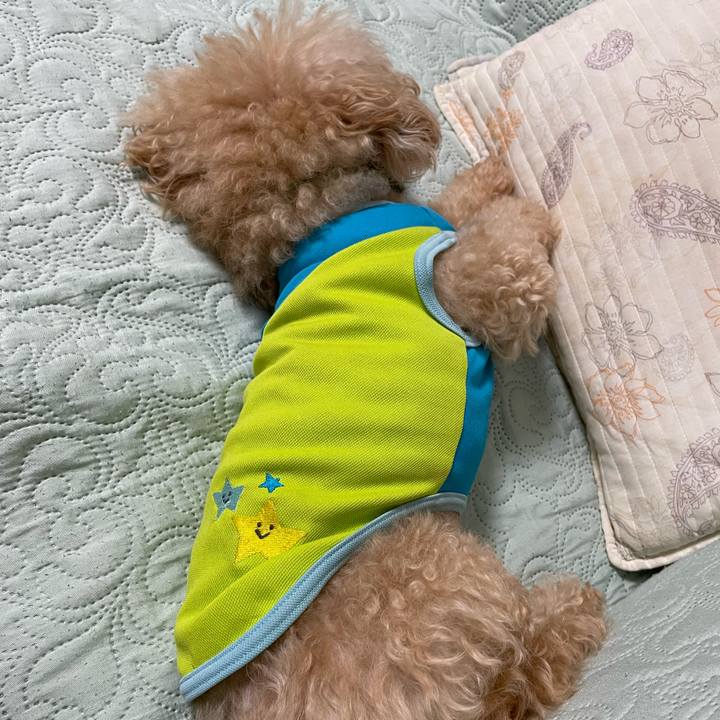 Fb8cd027 58c8 423f 8628 c2588f881059 1658665518629