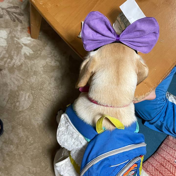 Fb8d0a90 4653 4554 a5cf 0b9ce01dd5d9 1634384758579