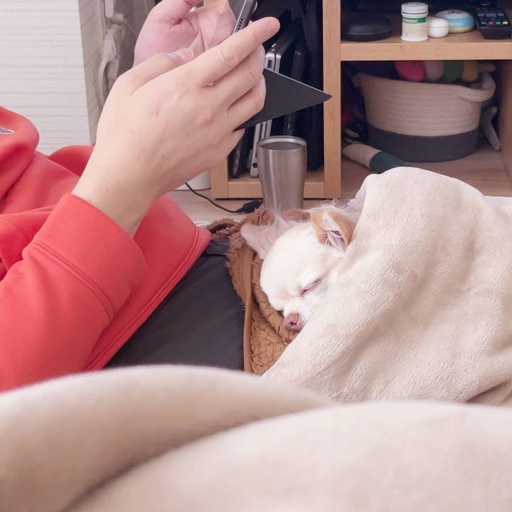 Fb8d1c85 fb09 44de 88b4 b2cfd94a4d16 1742129785746