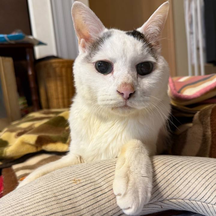 Fb8d1ff4 a4c2 4072 97a9 df391d725485 1766796916138