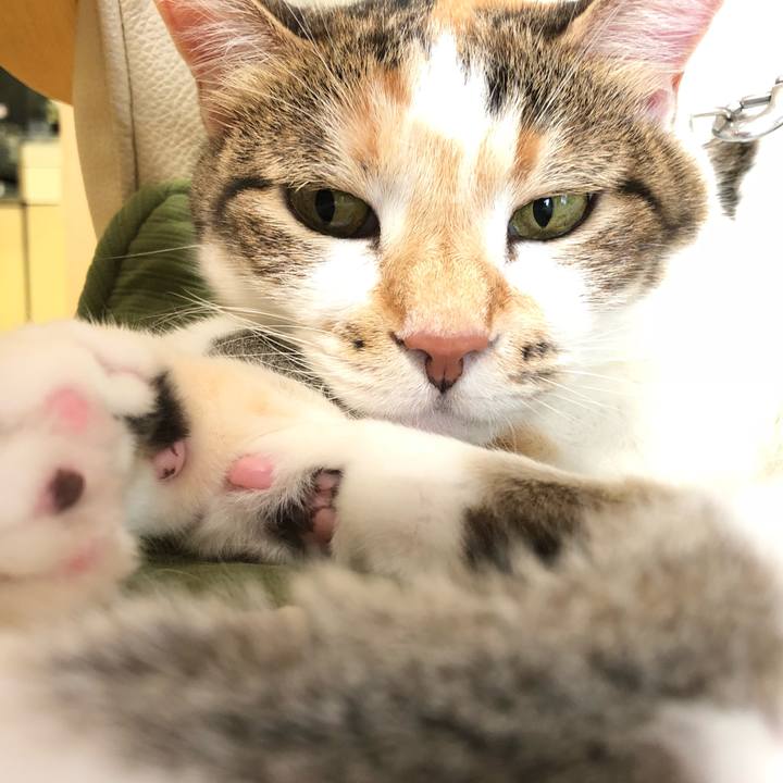 Fb8d2c52 97e5 4db1 af04 58721243ae22 1534889465007