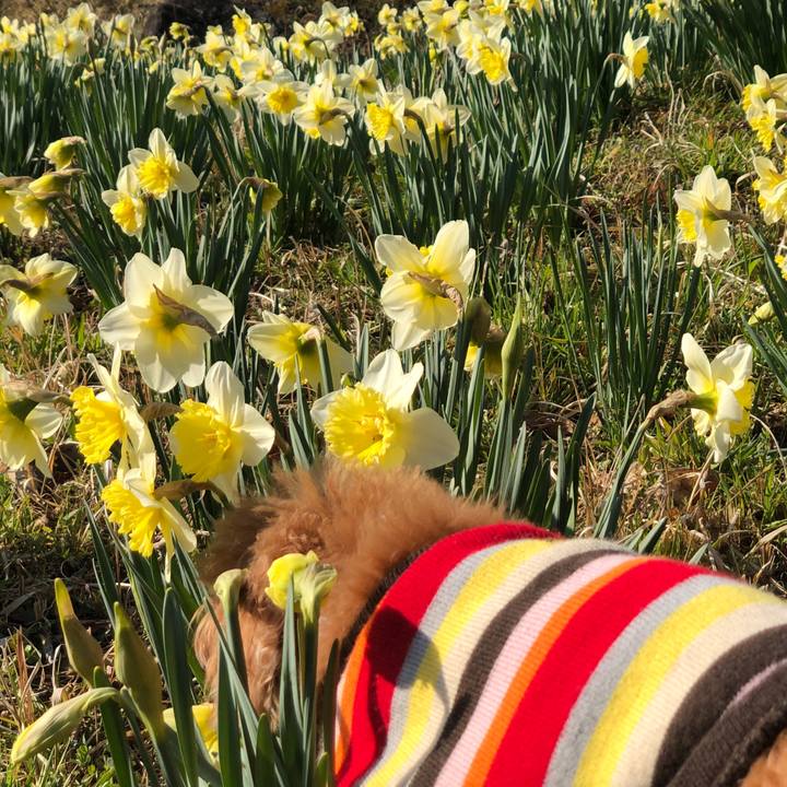 Fb8d3a66 ca3a 4a0f 8c6f 3374a2a46110 1585349354276