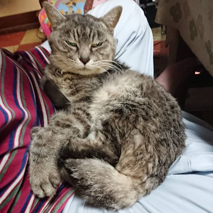 Fb8d5f41 27d6 4344 b340 bdda42174486 1574764656669