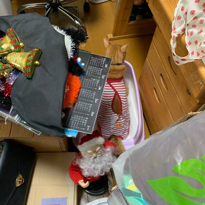 Fb8dba2b 04b3 4caf aa48 44f4df9d6e83 1616299048481