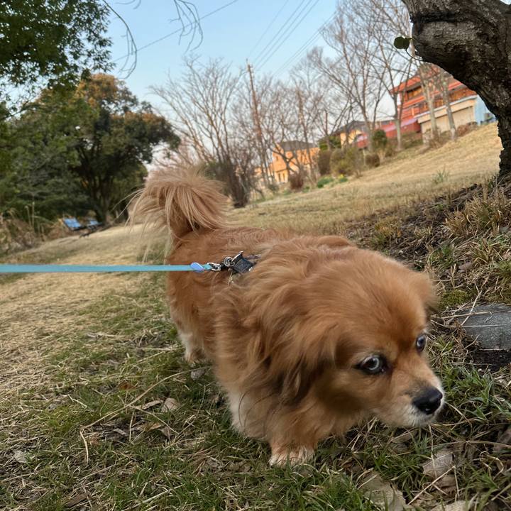 Fb8de833 e2ae 434e 9c6d 3141589beaf6 1742506847044