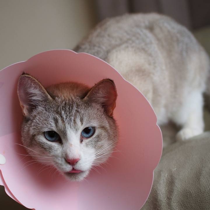 Fb8e39d6 f6b7 4429 967d 692a01ee6e57 1518699639299