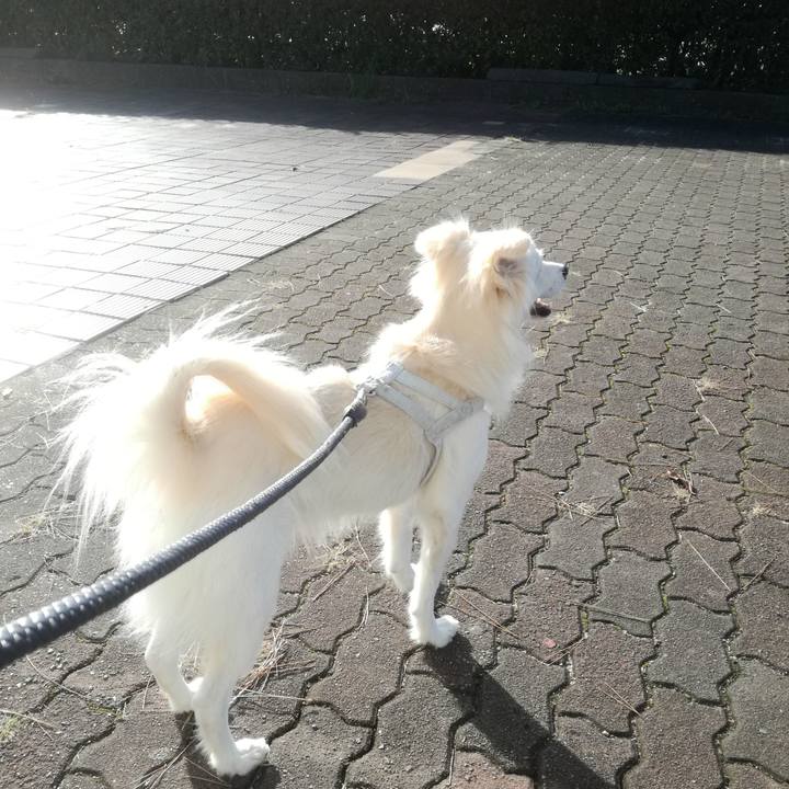 Fb8e5993 e545 4751 8471 a97a381d86a5 1509411755357