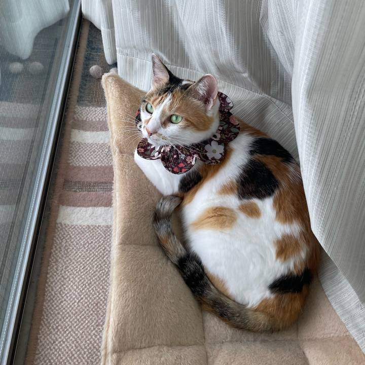 Fb8e6a55 4bb2 4868 a46a 7bf96e9320b1 1752886932851