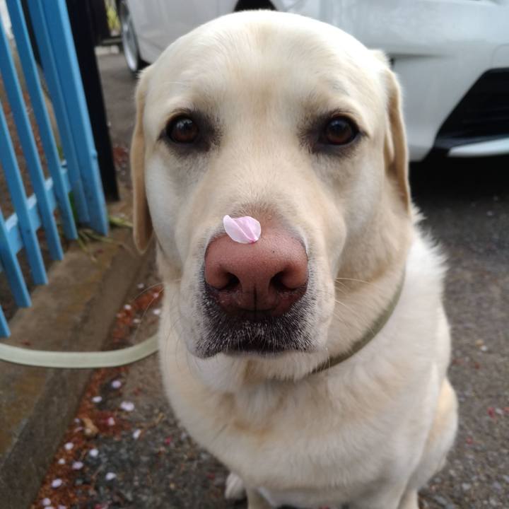 Fb8e6dce 9fd8 4828 b1f6 5d9f642511e9 1586670515191