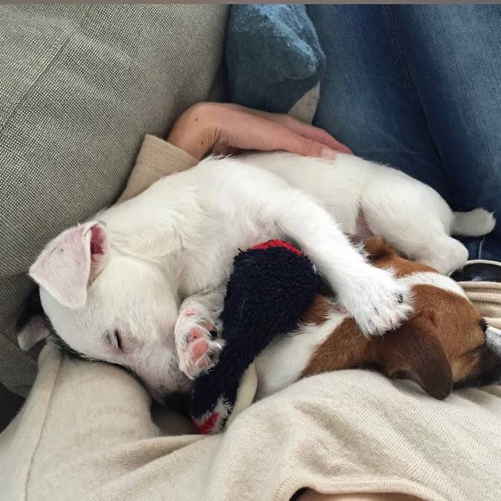 Fb8e8c14 7896 4d5a a979 442d258ecc04 1677929692812