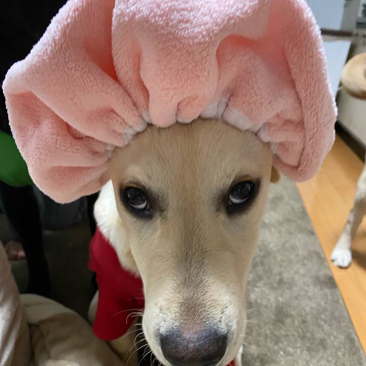 Fb8e9b46 90c7 440d 98eb 2b4189c0500d 1618490073442