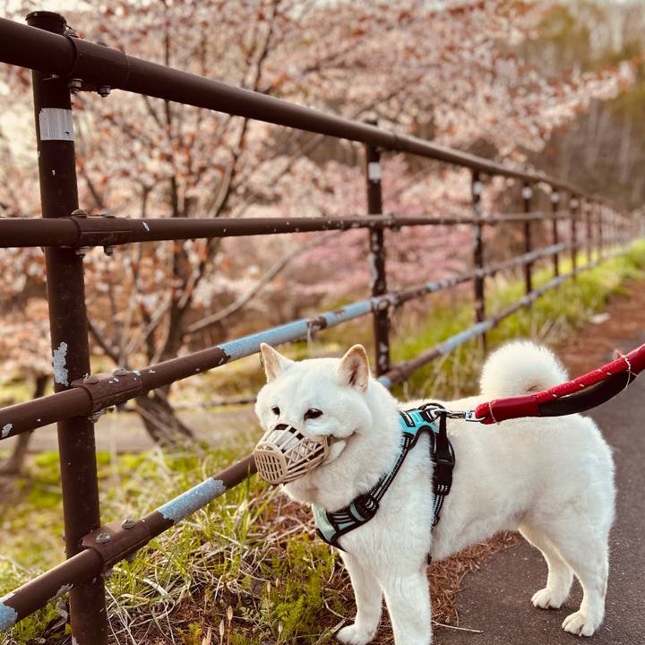 Fb8ea2b0 588a 4090 8c13 67a5c1af1728 1746136423457