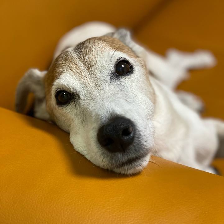 Fb8ea49c 0b07 4180 8a36 54f880ee4305 1625876766066