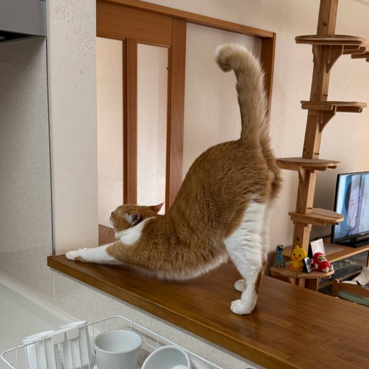 Fb8eafa9 2fbd 4bf3 8cdf bcde0062518a 1760064055936