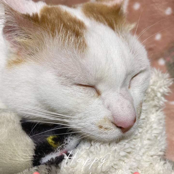 Fb8f0d74 cb2d 4fc9 9e18 39e1cc5bc426 1619948822043