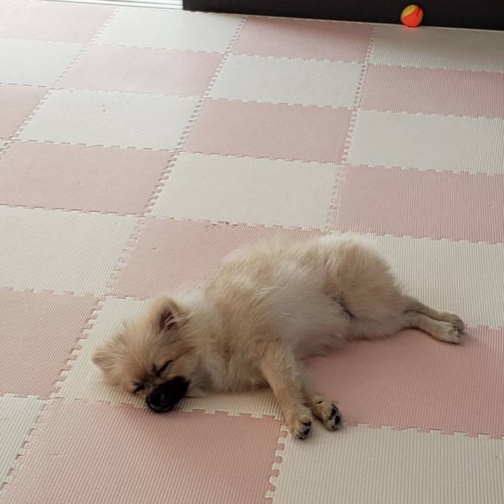 Fb8f151f 9b17 4c8e 8ffd d4c3c84a1f97 1618186853539