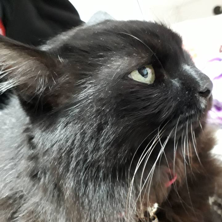 Fb8f296d 3a71 48d2 ae16 1f59496f0de1 1542715253440