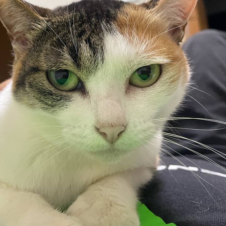 Fb8f77da d356 4c51 96ca 0a90799bc7f4 1685448550569