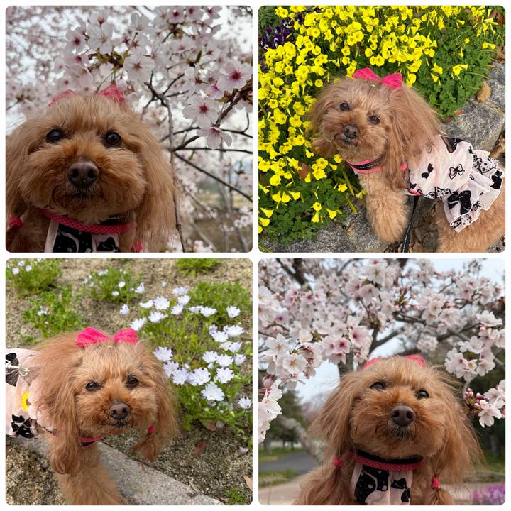 Fb8f80d0 234f 42a0 9a58 9d1e72134272 1774832554133