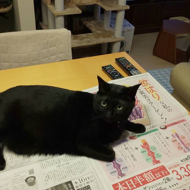 Fb8fb014 8e11 4ebe 8baf 432cb1614233 1602800380849