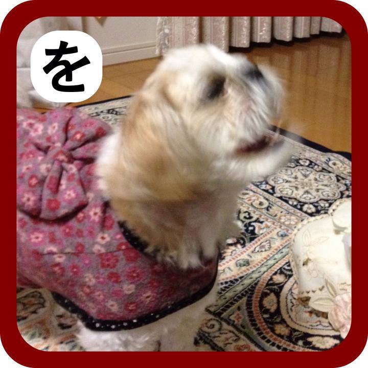 Fb8fc6a6 1227 4501 bebb dbdf208656a8 1515021551404