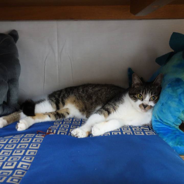 Fb8fce16 1613 4106 957d 730fe3fc606f 1761815167060