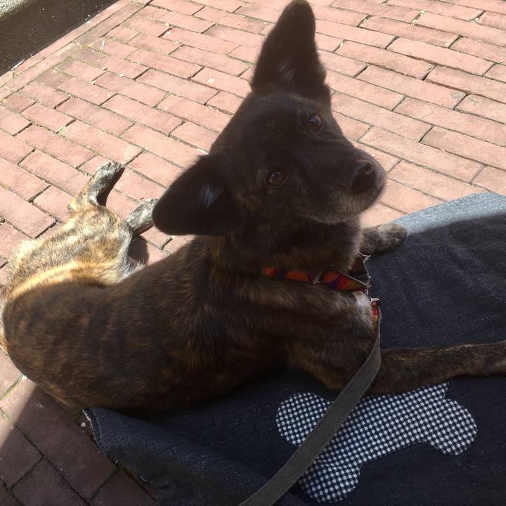 Fb8fe5c8 6c4d 4982 9aae f2206df3829a 1525436383326