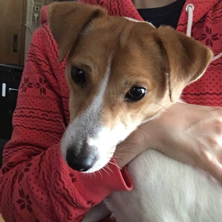 Fb8ff1cc 66e5 4f66 98b1 6d0e998f3d65 1509421909161